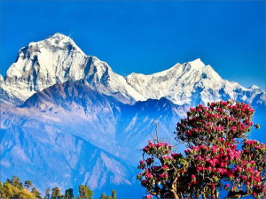 Ghorepani Poon Hill Trek